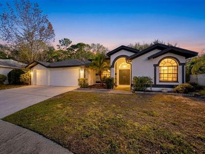 10006 Vista Pointe Dr, Tampa, FL, 33635