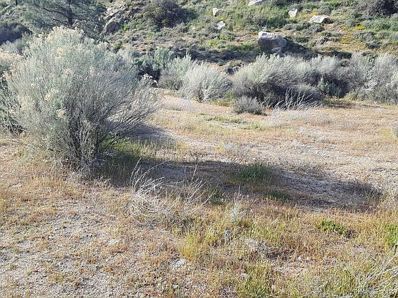 2nd image of Vic Pine Canyon Road Tweedy L