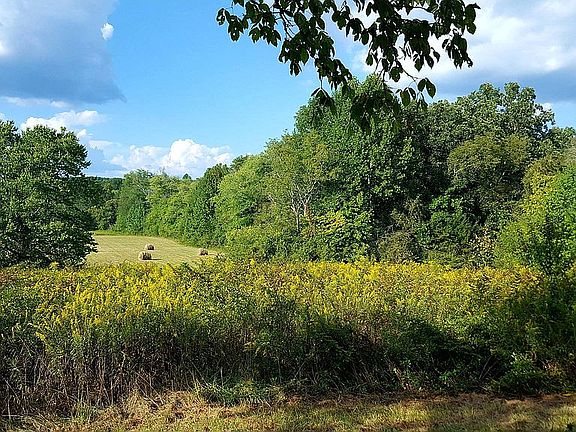 4th image of 12581 Morganton Hwy