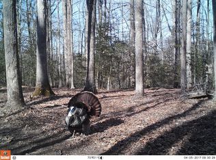 7000 Block House Rd, Spotsylvania, VA 22551