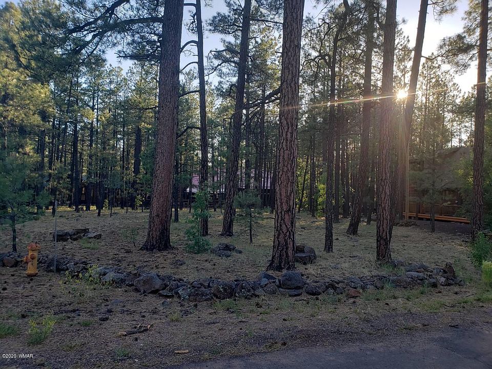 2nd image of 2526 Black Beaver Cir