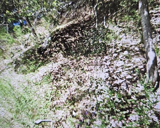 2nd image of 7239 Thorndale Dr
