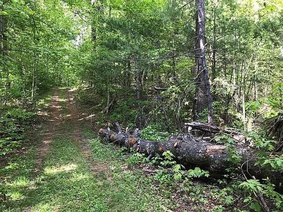 5th image of 0 Blackberry Mountain