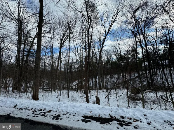 316 Sycamore Rd, Mount Jackson, VA 22842