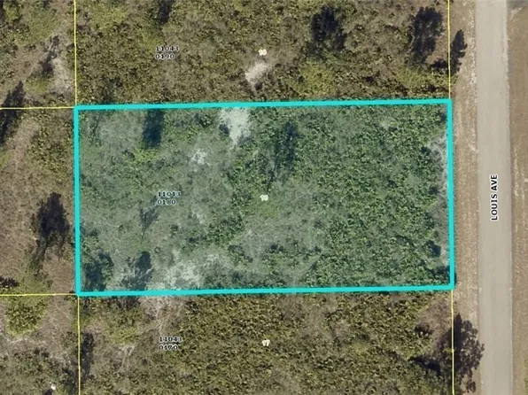 311 Louis Ave, Lehigh Acres, FL 33936