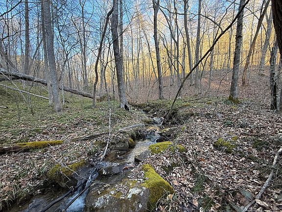 2nd image of 9991 Red Hill Rd