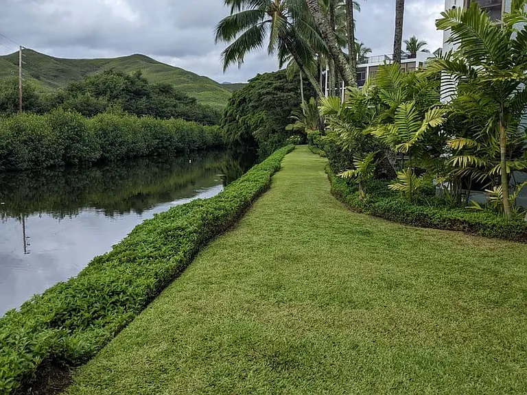 1030 Aoloa Pl #209B — Photo 13