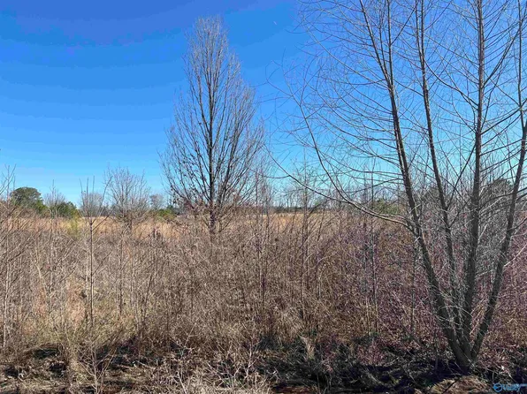 LOT 13 County Road 487, Moulton, AL 35650