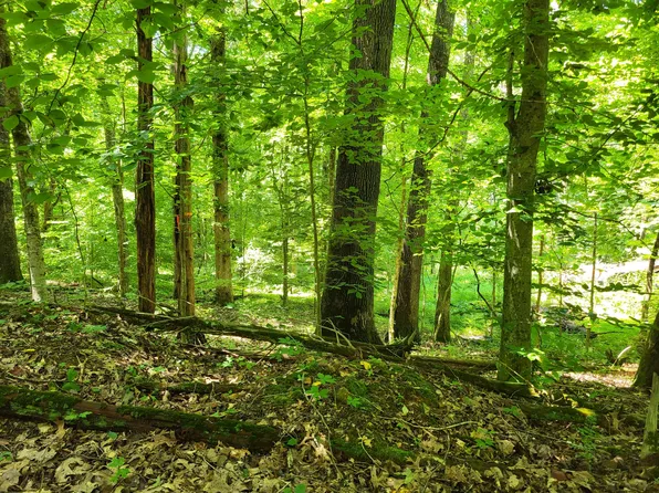 1 Indian Creek Rd, Dover, TN 37058