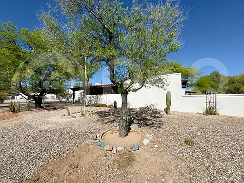 3360 N Camino De Piedras Photo 1