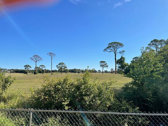 view from backyard