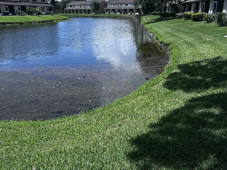 Pond view