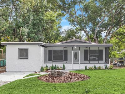 1624 Pine Ave, Mount Dora, FL, 32757