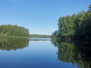 Mile 45 McCarthy Rd, Chitina, AK 99566