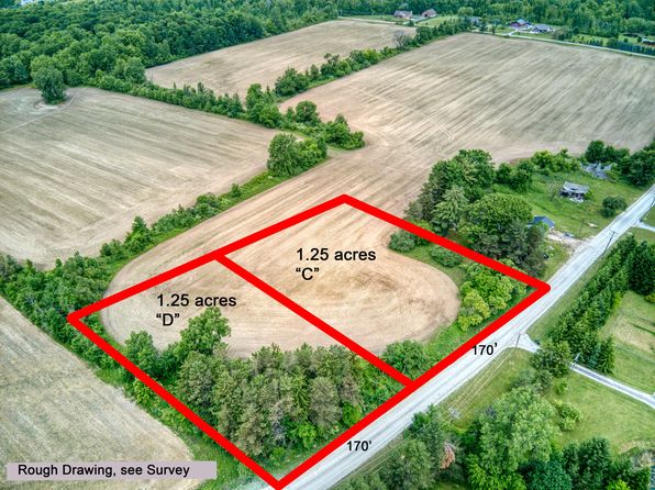 00D Wales Ridge Rd, Goodells, MI 48027