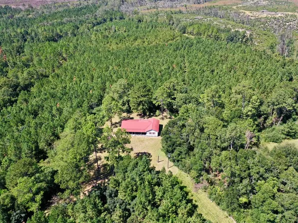 1564 Big Horse Creek Rd, Jacksonville, GA 31544