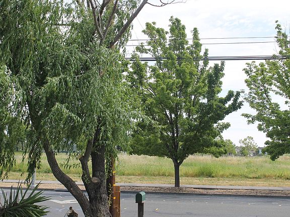 Southwest Comm. Park across the street