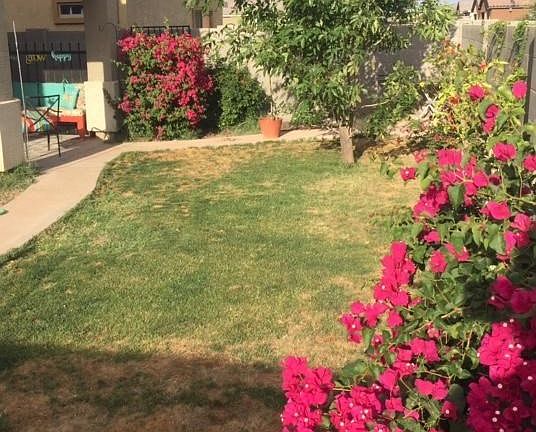 backyard 9411