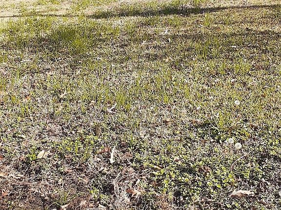 4th image of 7031 Foster St