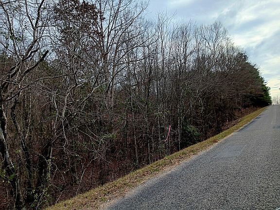 This property has approximately 2,000' of road frontage on County Road 67.