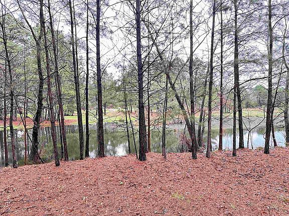 3rd image of 1000 Quapaw Rd