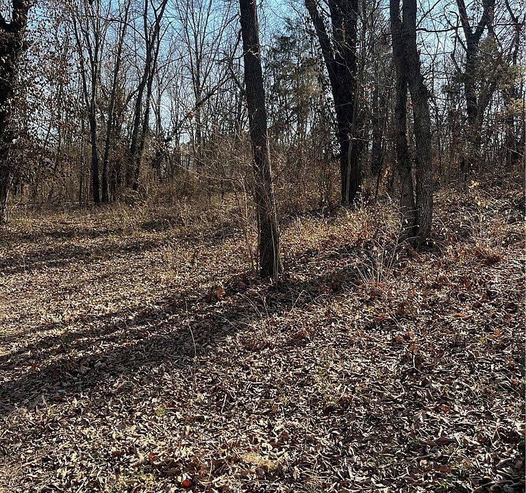 2nd image of 503 Highway 62 Spur