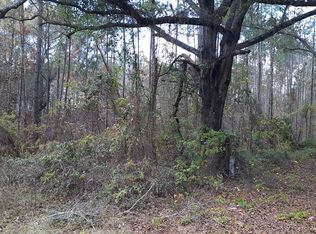 0 Sleepy Holw #1, Soperton, GA 30457