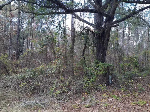 0 Sleepy Holw #1, Soperton, GA 30457