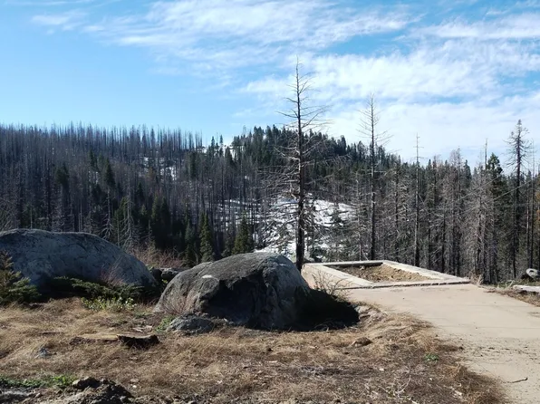 54459 Hossack Drive, Sequoia Crest, CA 93265