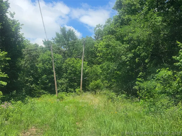31202 W Deer Run Rd, Park Hill, OK 74451