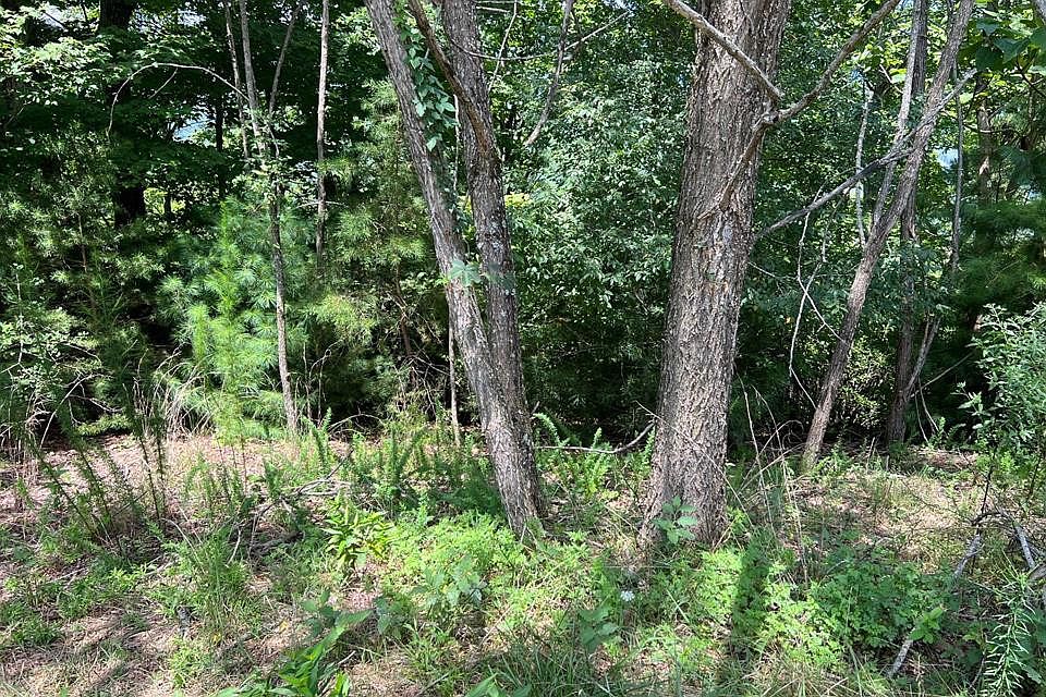 1st image of Lot 59 Fires Creek Cove LOT 59