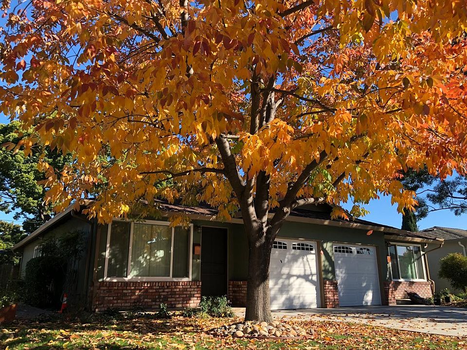 1st image of 318 Kuehnis Dr
