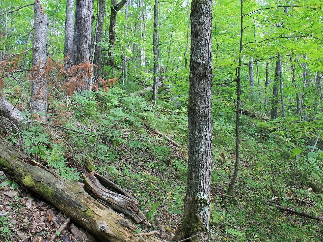 LOT 15 Alpine Dr, Upson, WI 54565 MLS 206271 Zillow