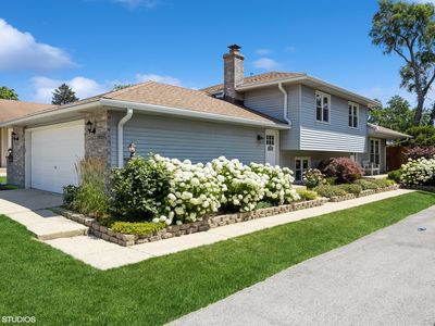 3925 Williams St, Downers Grove, IL, 60515