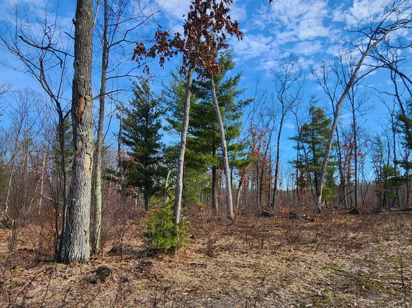 7746 N Woodbridge Rd, White Cloud, MI 49349