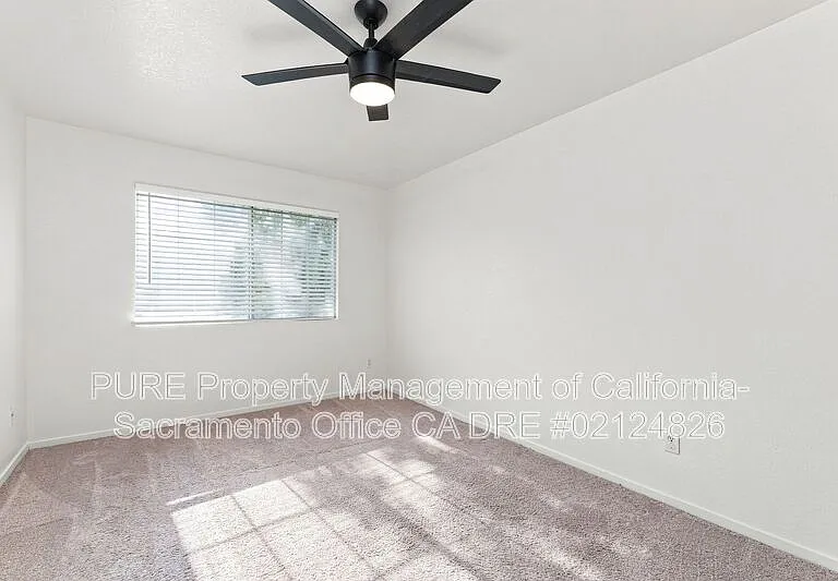 8742 Weeping Birch Ln — Photo 13