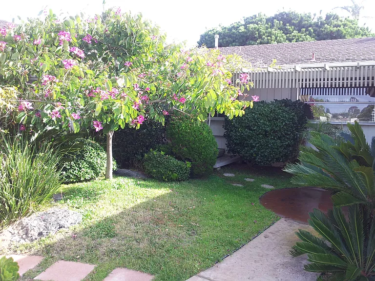 Common enclosed courtyard in the back with lush vegetation and fruit trees down below