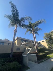 5009 Woodman Ave APT 202, Sherman Oaks, CA, 91423