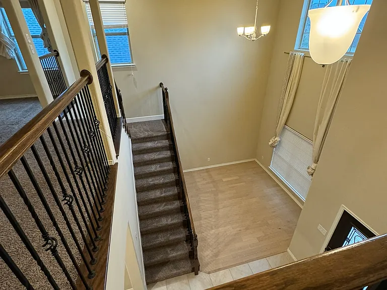 10020 Long Branch Dr — Photo 13