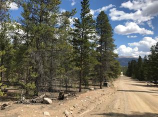 417 Birch Dr, Twin Lakes, CO 81251