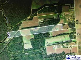 2402 Indigo Landing Rd, Scranton, SC 29591