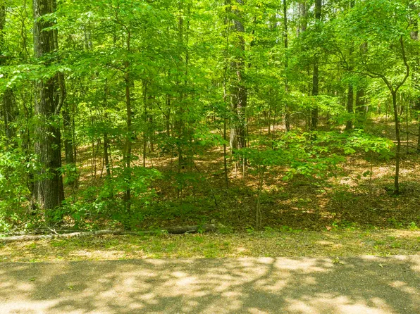 4 Augusta Way Lot 148, Shoal Creek, AL 35242