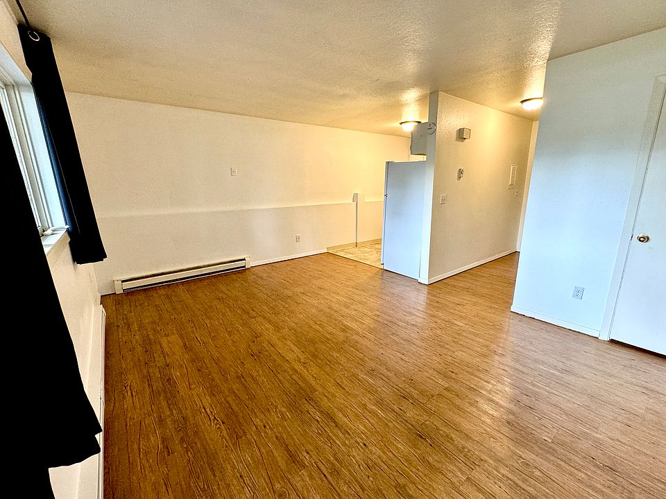 Main room with kitchen and two closets.