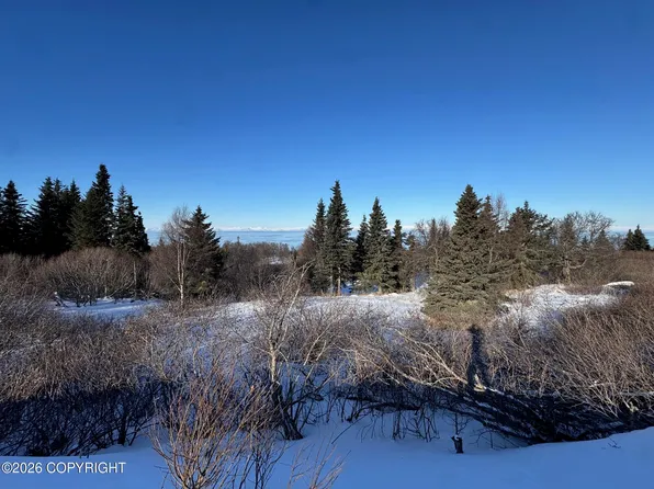 L5 Mead Ct, Clam Gulch, AK 99568