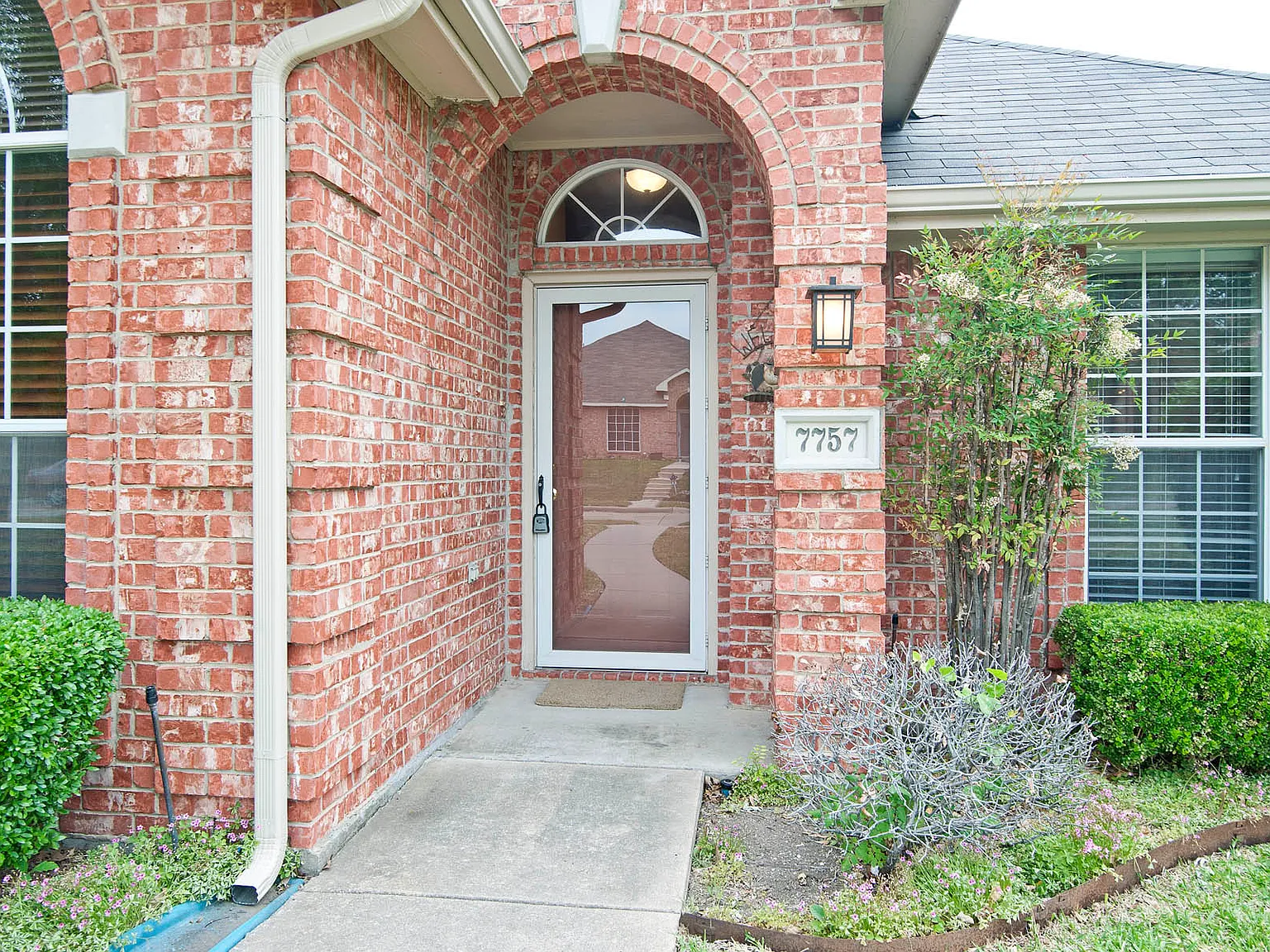 3 bed, 1545 sqft, $2,300 — Photo 2