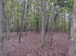 Tax Map 6 #17-14-31, Gore, VA 22637