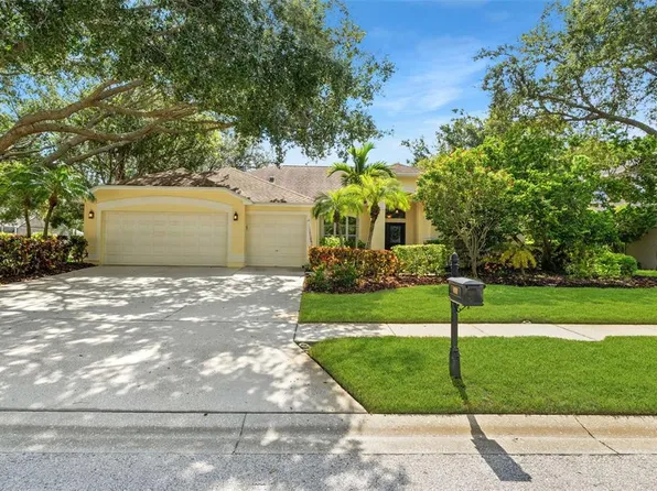 4681 Ilex Ct, Palm Harbor, FL 34685