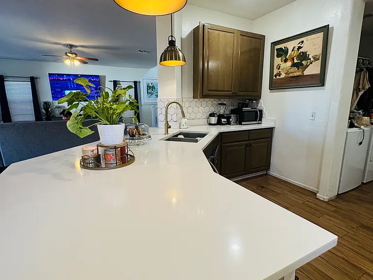 28007 N Muscovite Dr — Photo 10