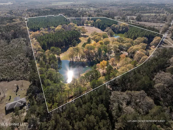 5844 N Williamsburg Rd, Bassfield, MS 39421