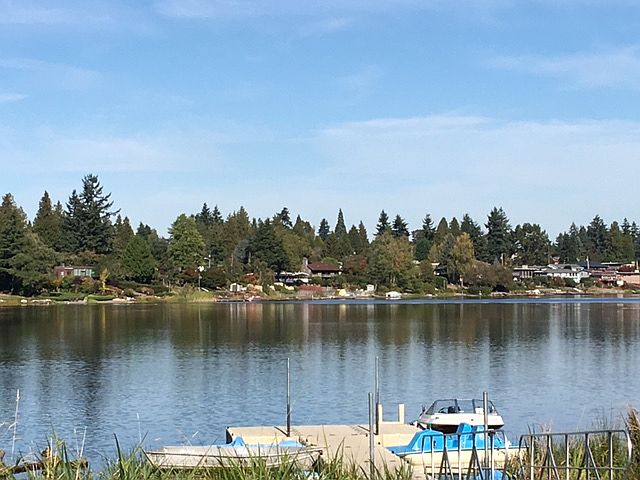 #15 lake view 2_10162017